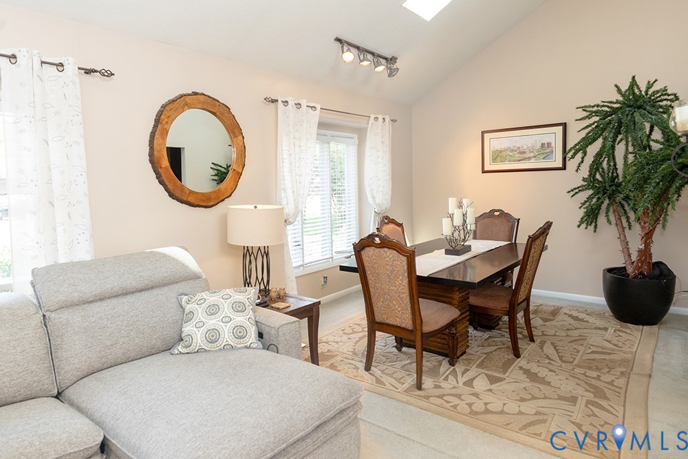 Vaulted ceiling with skylight, track lighting, and window blinds