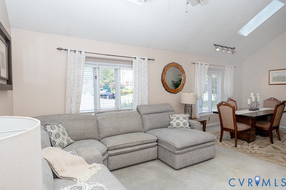 Vaulted ceiling, two skylights, track lighting, and two windows with blinds