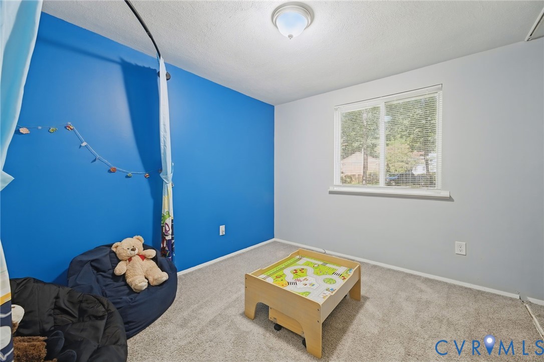 Carpeted room featuring a single window, a ceiling-mounted light fixture, and contrasting wall colors