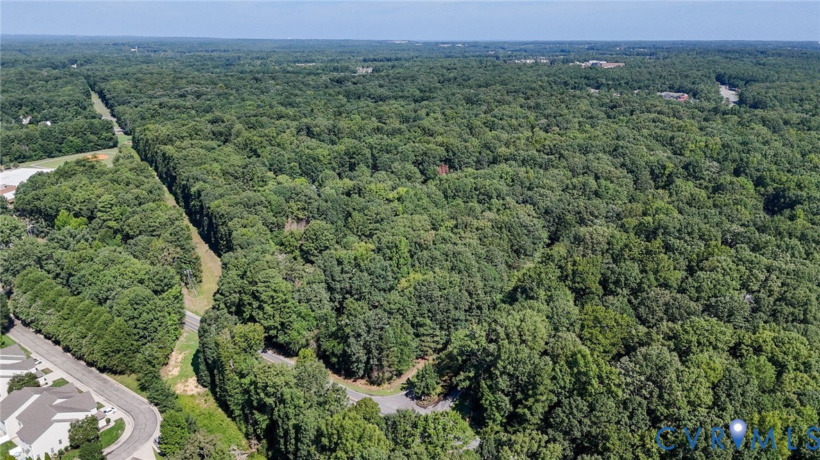 Expansive wooded acreage featuring mature trees and a paved access road
