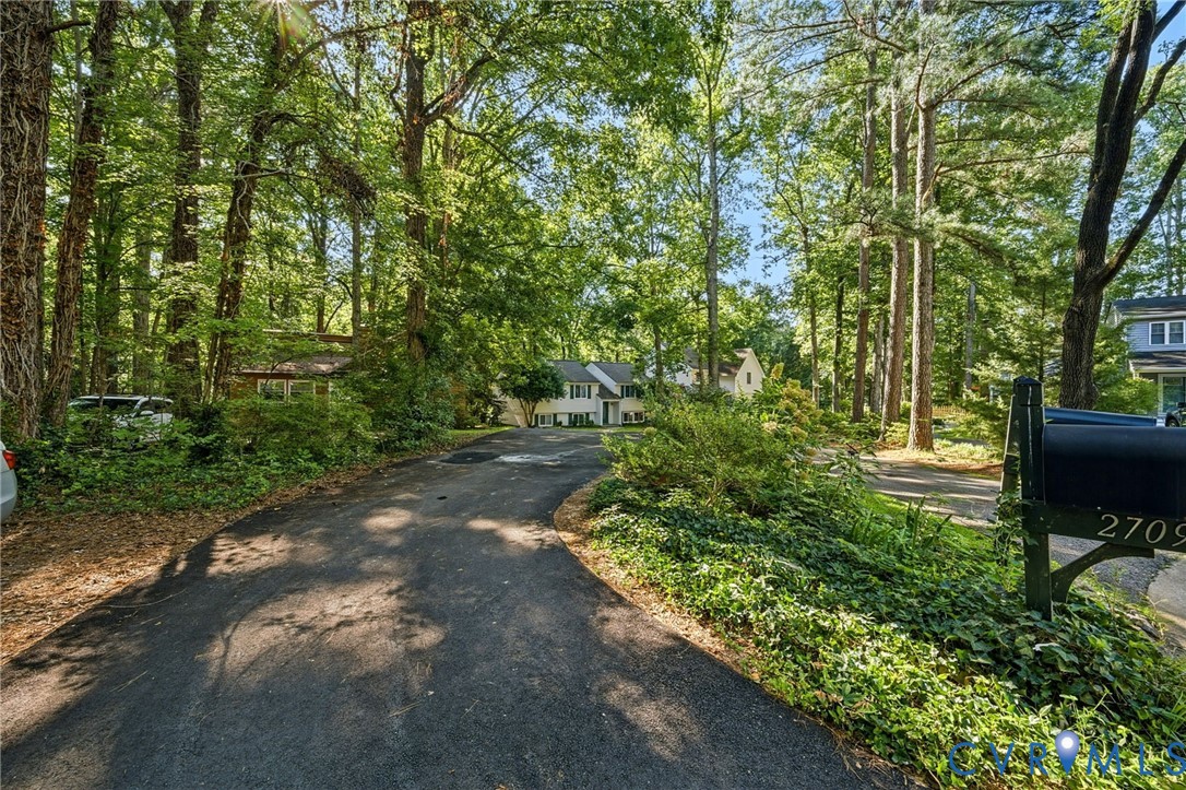 Paved driveway bordered by dense foliage, mature trees, and a mailbox with house numbers