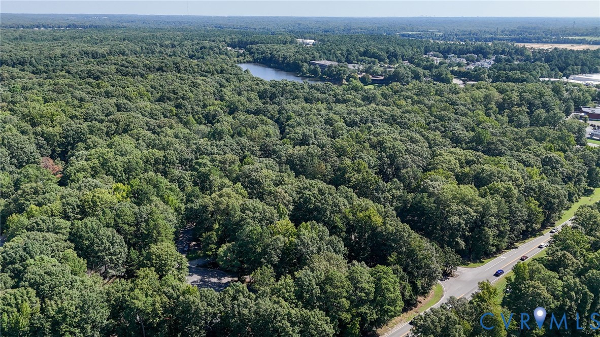 Expansive wooded parcel featuring mature trees, a paved road border, and proximity to a body of water