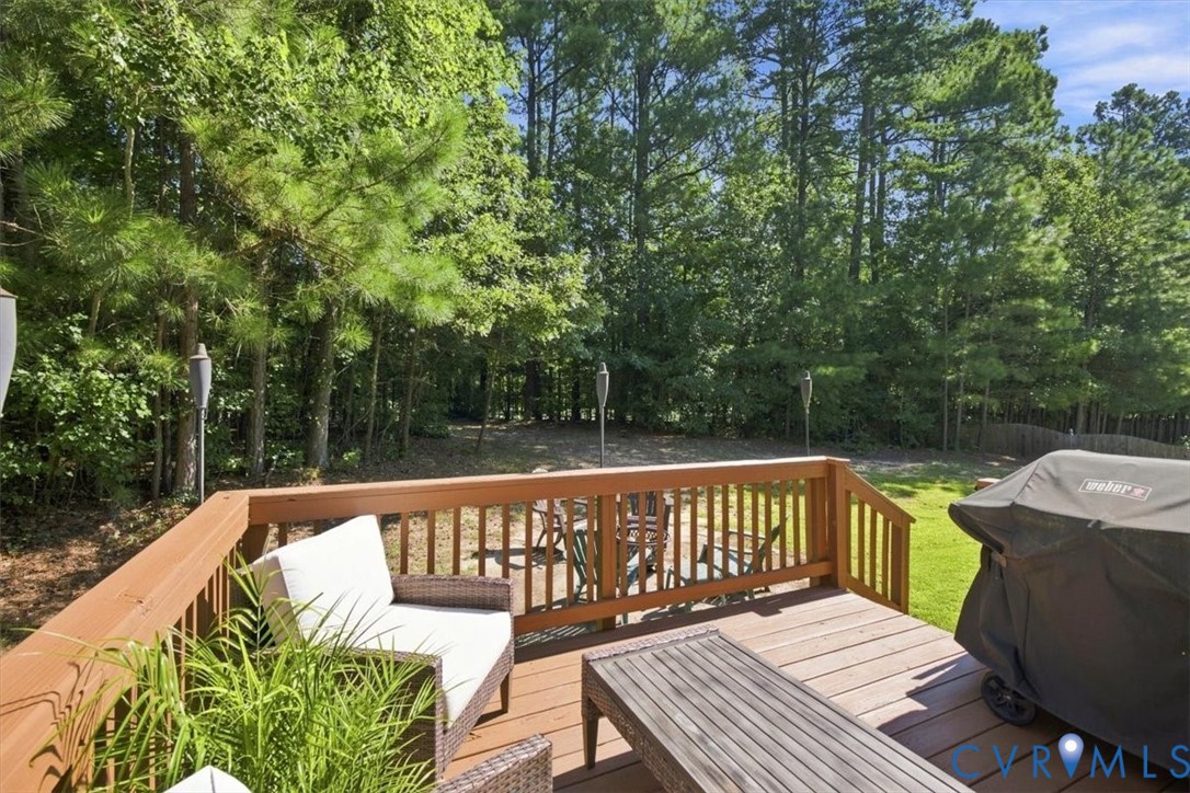 9819 Garden Ridge Place, Five Forks Village, Chesterfield, VA 23832