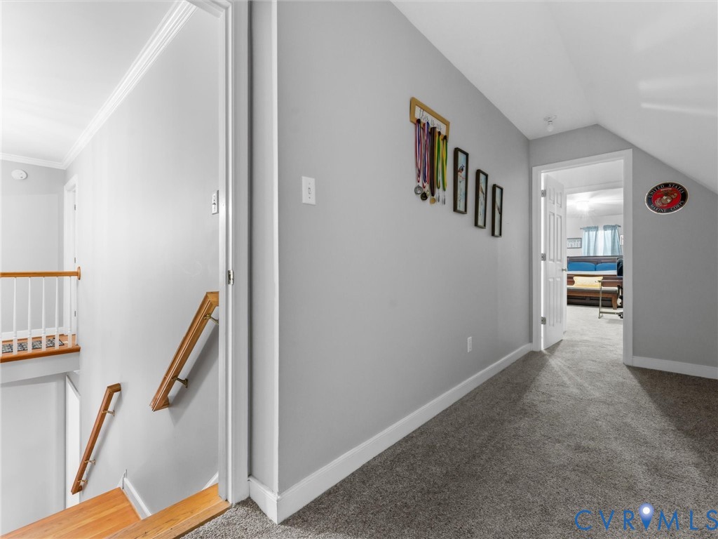 Hardwood stair treads, white painted railing, crown molding, and gray carpeting