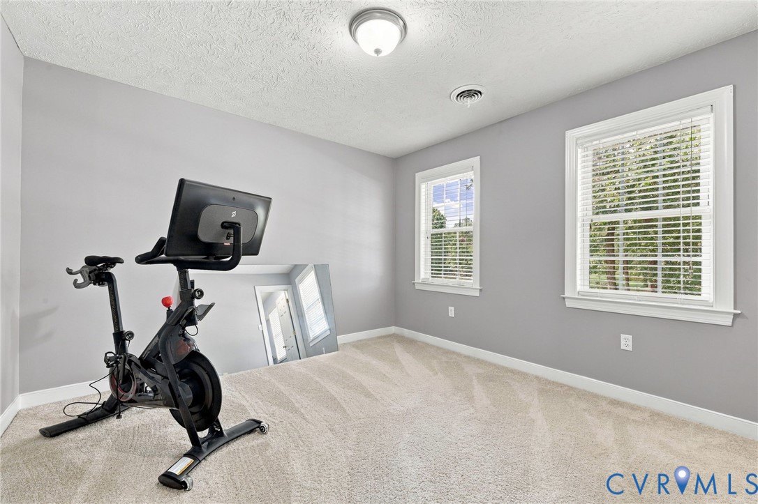 Neutral gray wall paint with white trim, two windows with blinds, light-colored carpeting, and a flush-mount ceiling light
