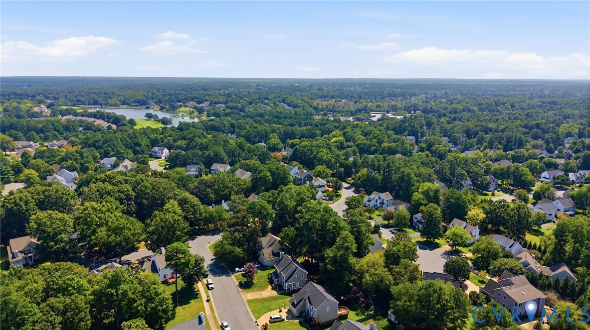 Expansive residential area with mature tree canopy and scattered homes