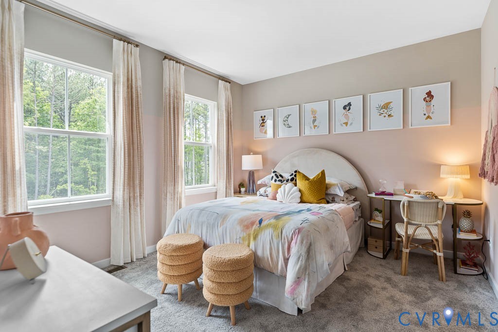 Plush carpeting, a curved headboard, and dual windows with white trim