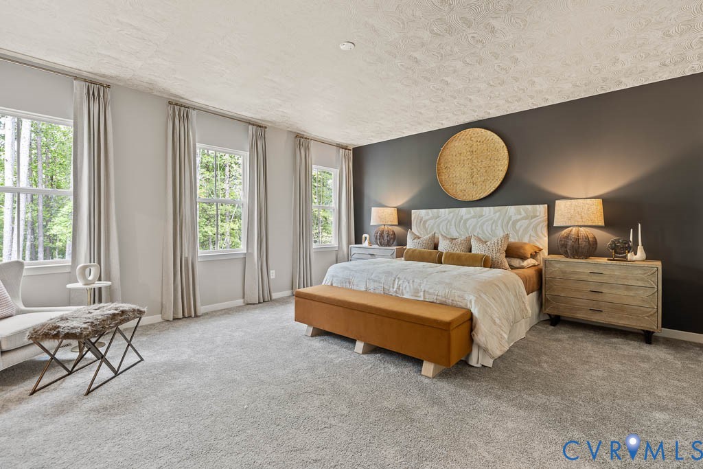Carpeted flooring, multiple double-hung windows, and a dark accent wall