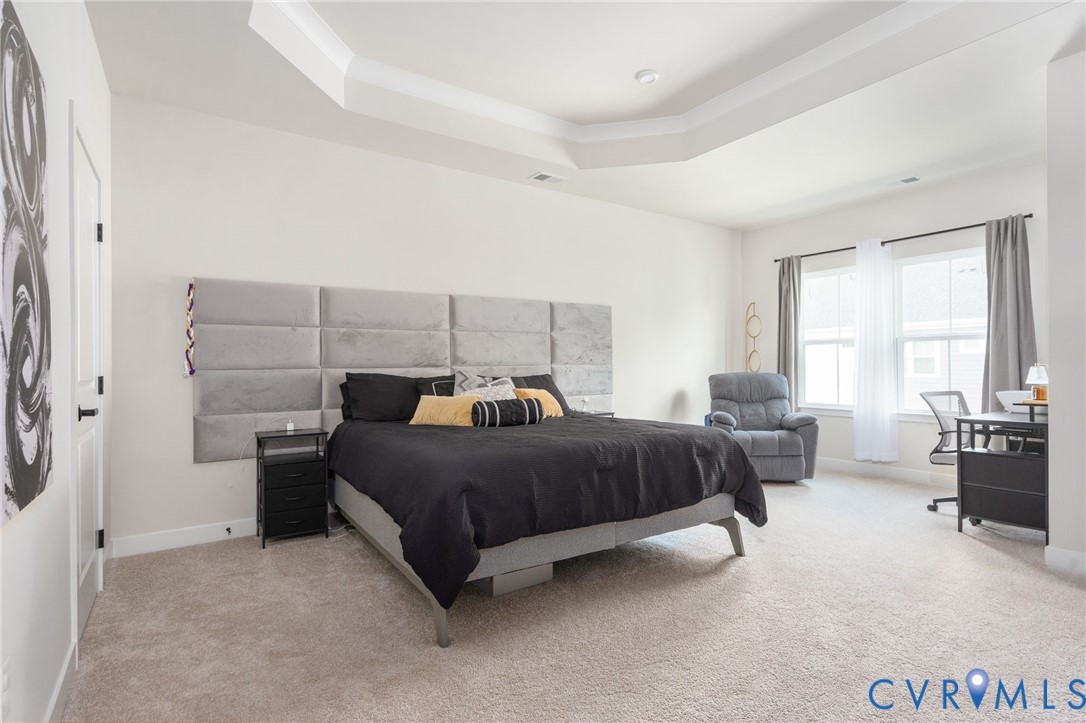 Recessed lighting, tray ceiling, twin windows, and neutral carpeting