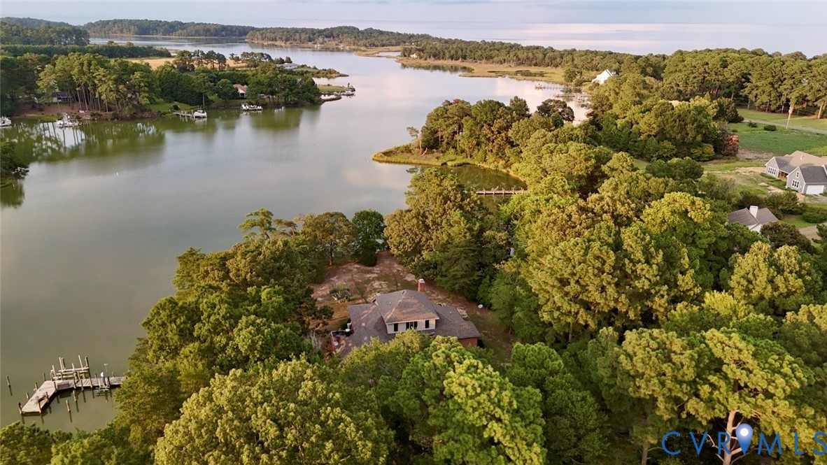 Waterfront property featuring a private dock, surrounded by mature trees and natural landscaping