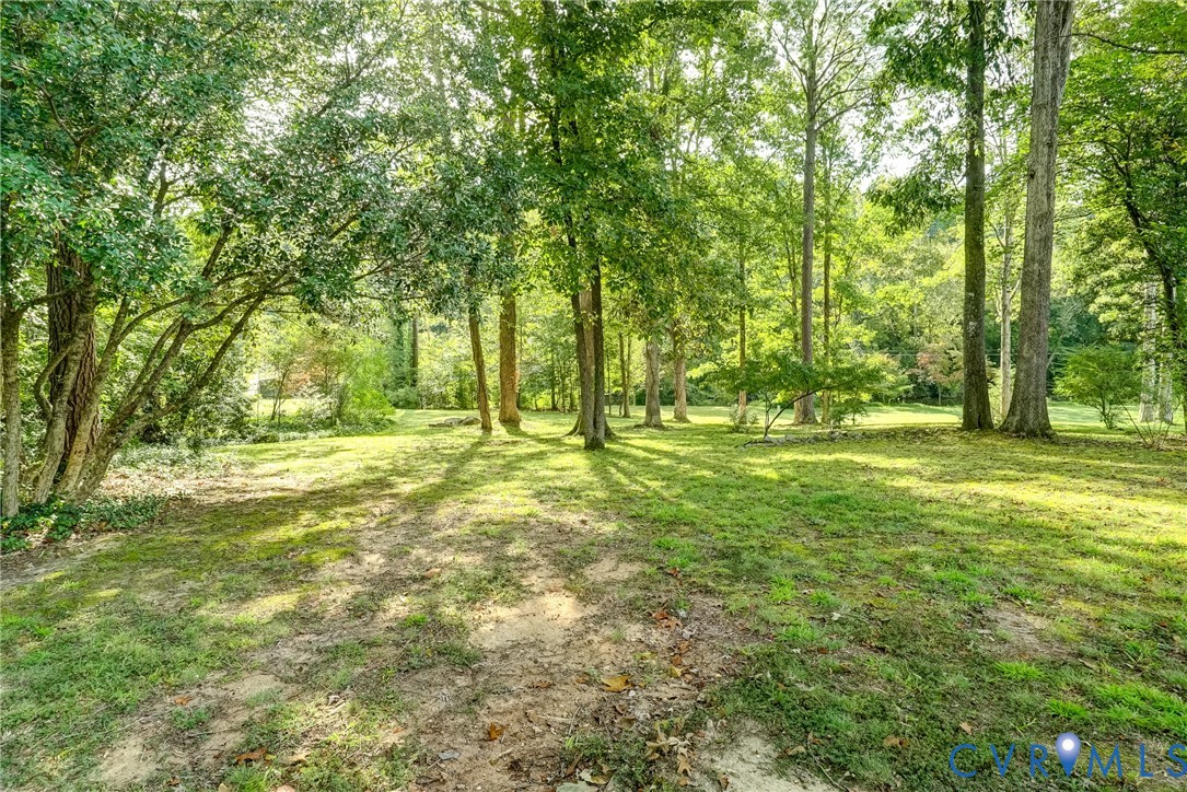 Another backyard view