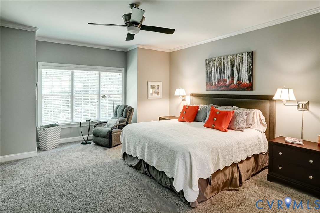 Wall-to-wall carpeting with a ceiling fan, crown molding, and large window with blinds