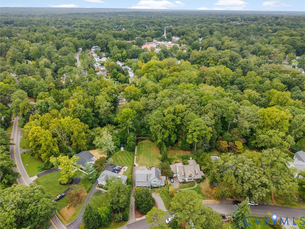 Expansive tree canopy with residential properties