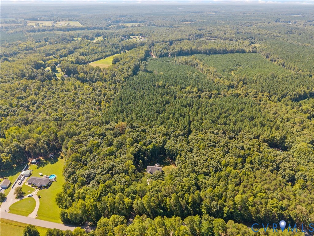 Expansive wooded acreage featuring diverse tree growth, clearings, and a developed residential area