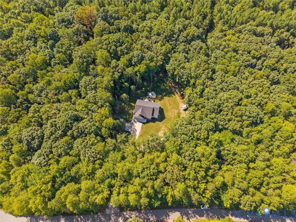 Expansive wooded surroundings with a residential structure, asphalt driveway, and green lawn