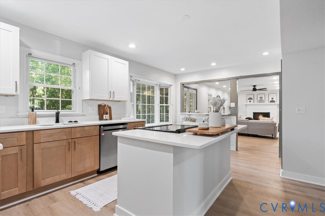 1001 Somerville Grove Terrace, Chesterfield, VA 23114