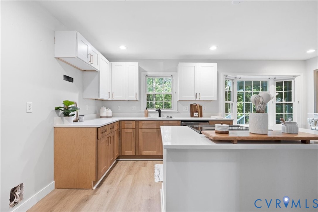 1001 Somerville Grove Terrace, Chesterfield, VA 23114