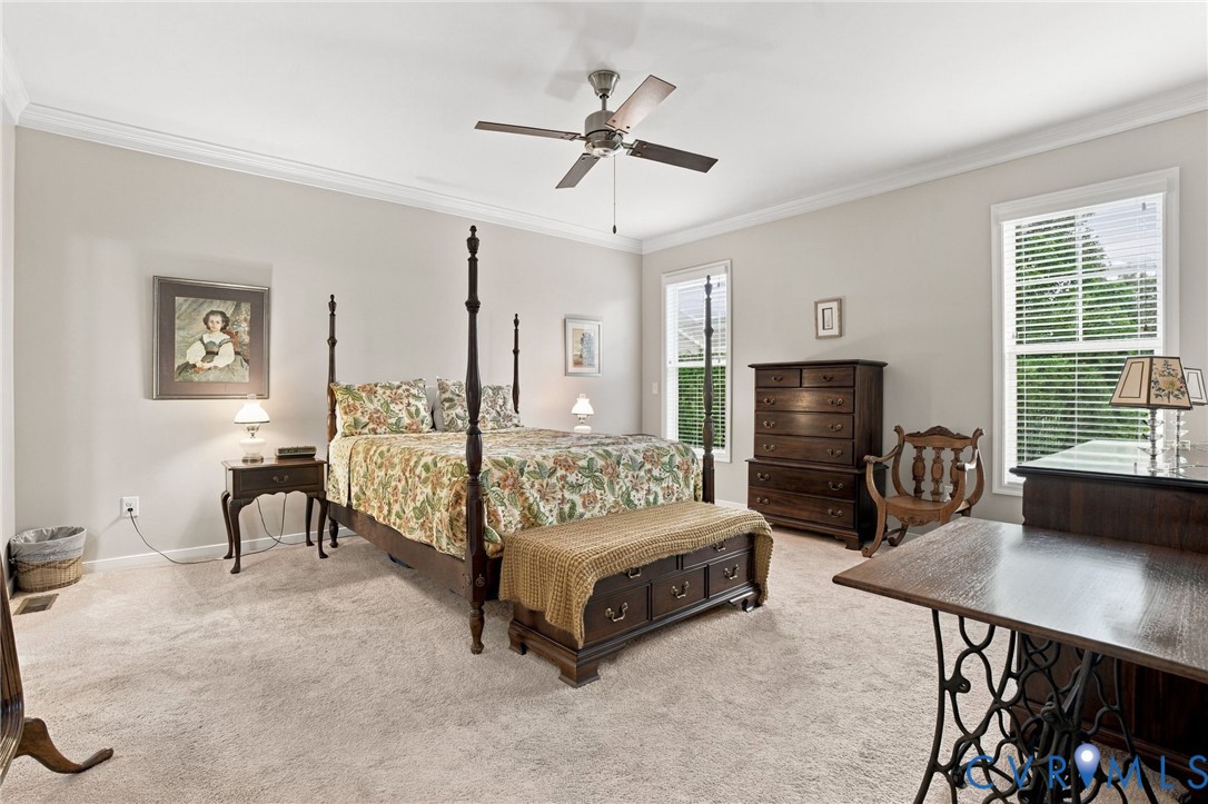 Tray ceiling with crown molding, ceiling fan, carpeted flooring, and two windows