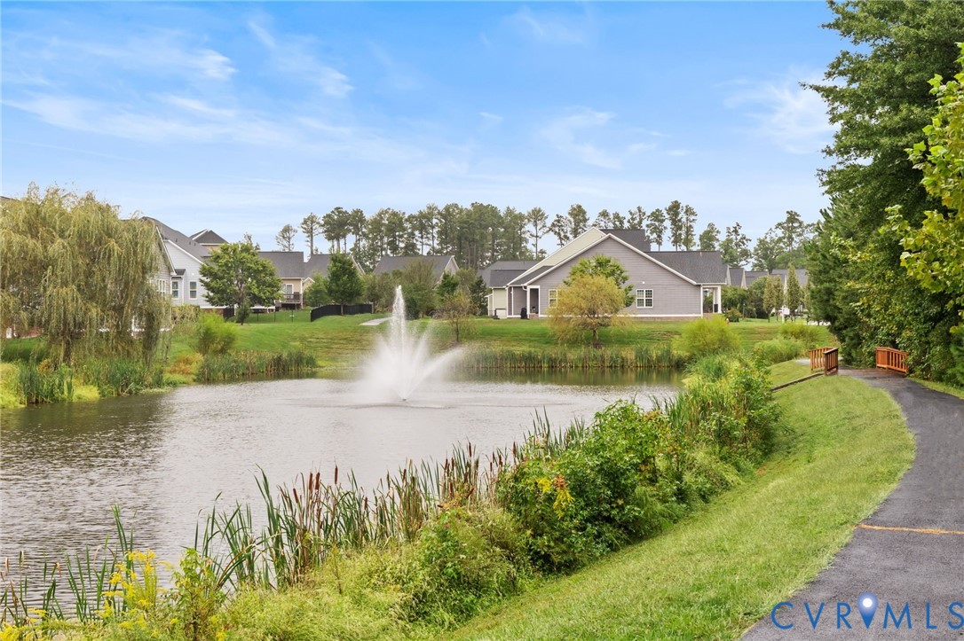 Pond with a central fountain, bordered by cattails and lush greenery