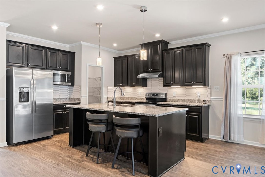 13507 Mason Orchard Place, Chesterfield, VA 23836