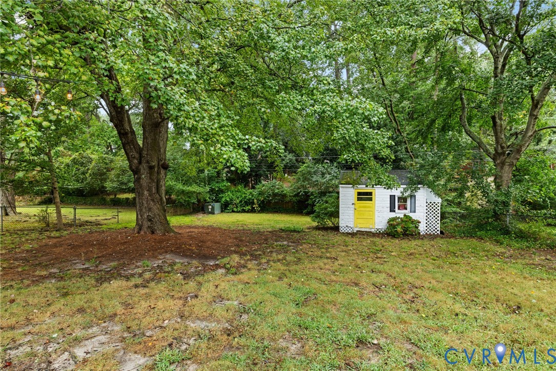ample fenced yard with a lovely climbing tree and detached shed