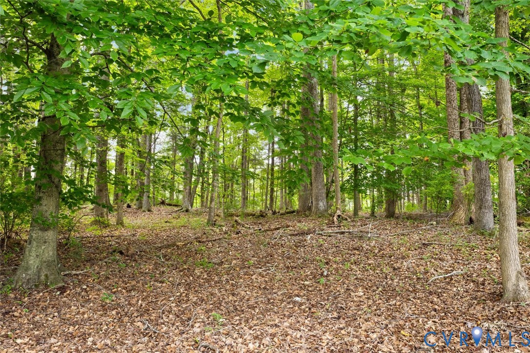132 Anitas Landing Way, The Parke At Manakin Woods, Manakin Sabot, VA 23103