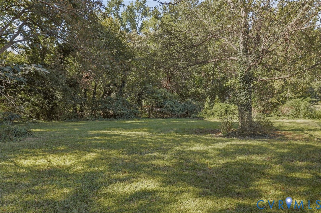 Expansive grassy area featuring mature trees and lush perimeter foliage