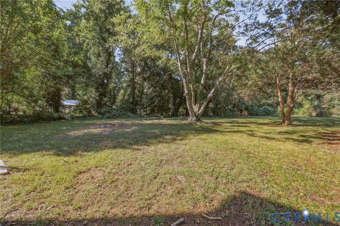 Expansive grassy area with mature trees and dense perimeter foliage