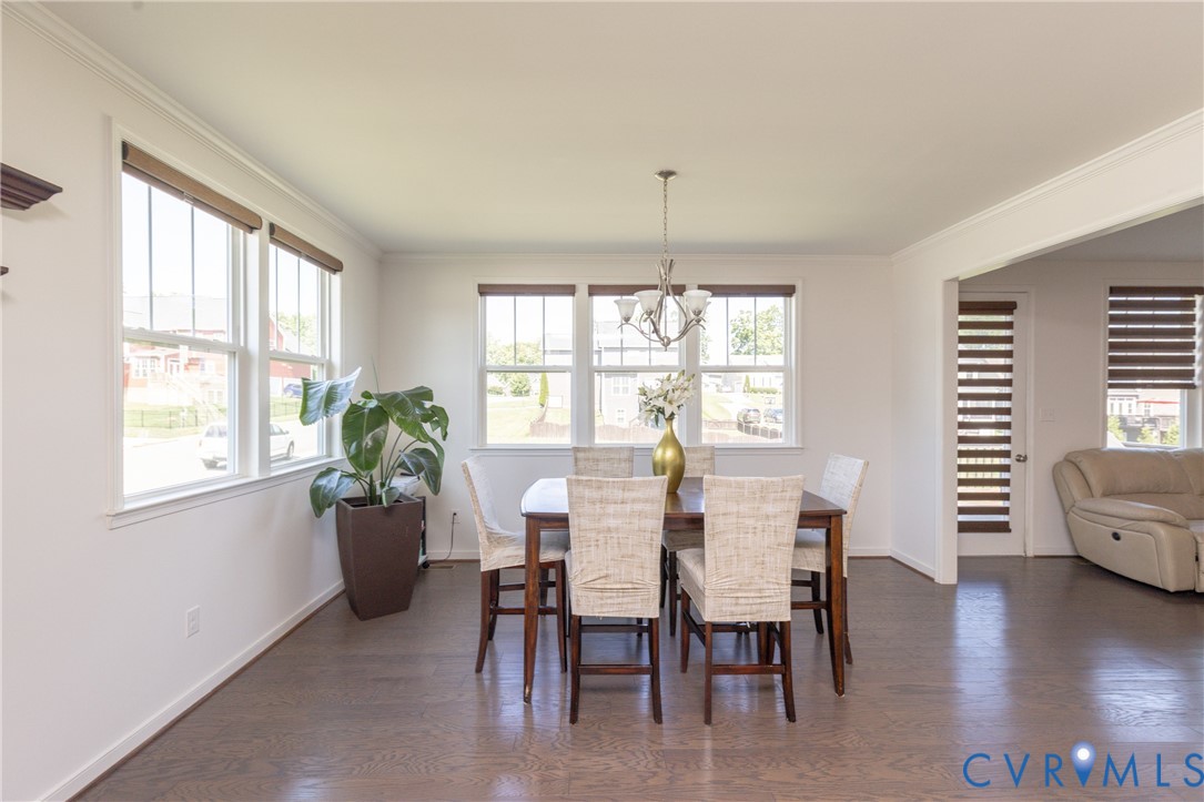 Wood-finish flooring throughout, bright white wall paint, and multiple large windows with natural light