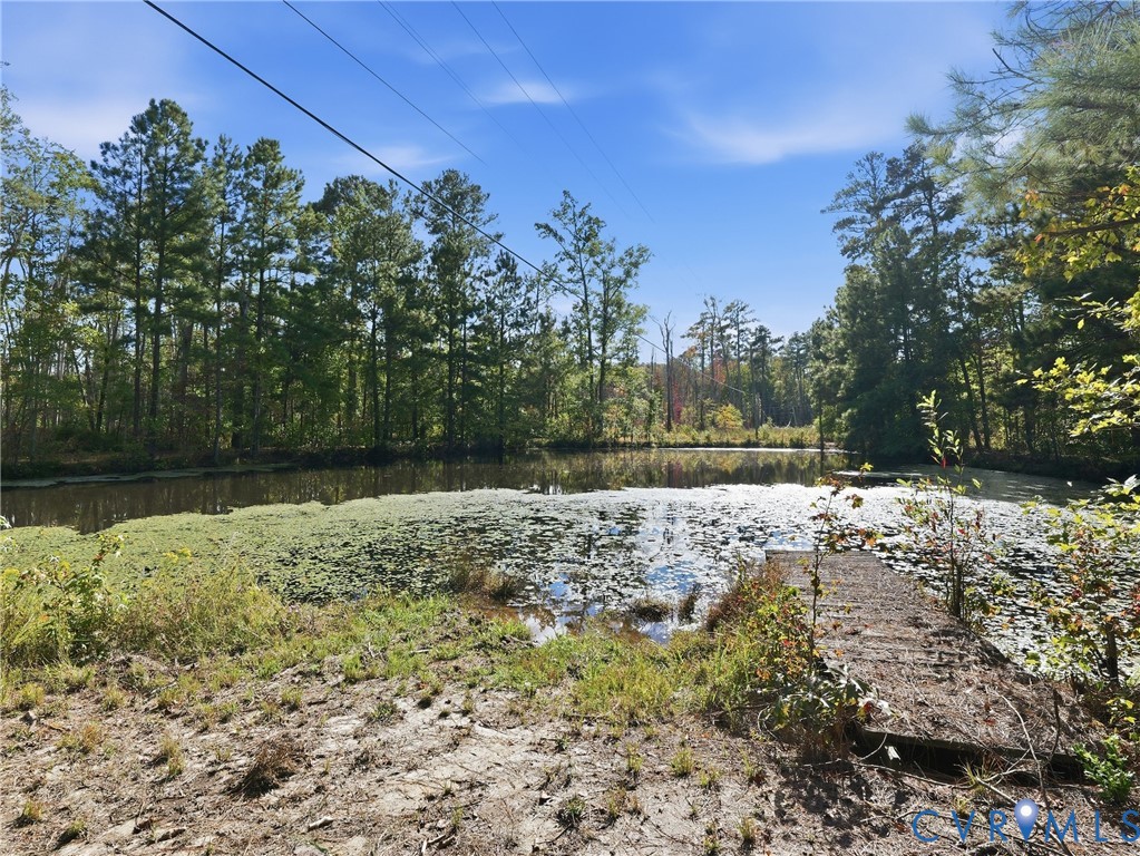 Waterfront property featuring a pond, a wooden dock, and surrounding mature trees
