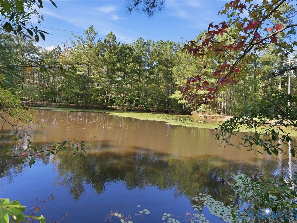 Private pond featuring a natural shoreline and mature perimeter trees