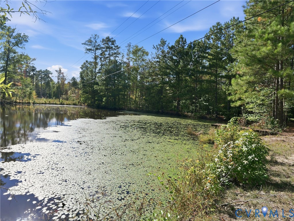 Private pond featuring natural vegetation and surrounding mature pine and hardwood trees