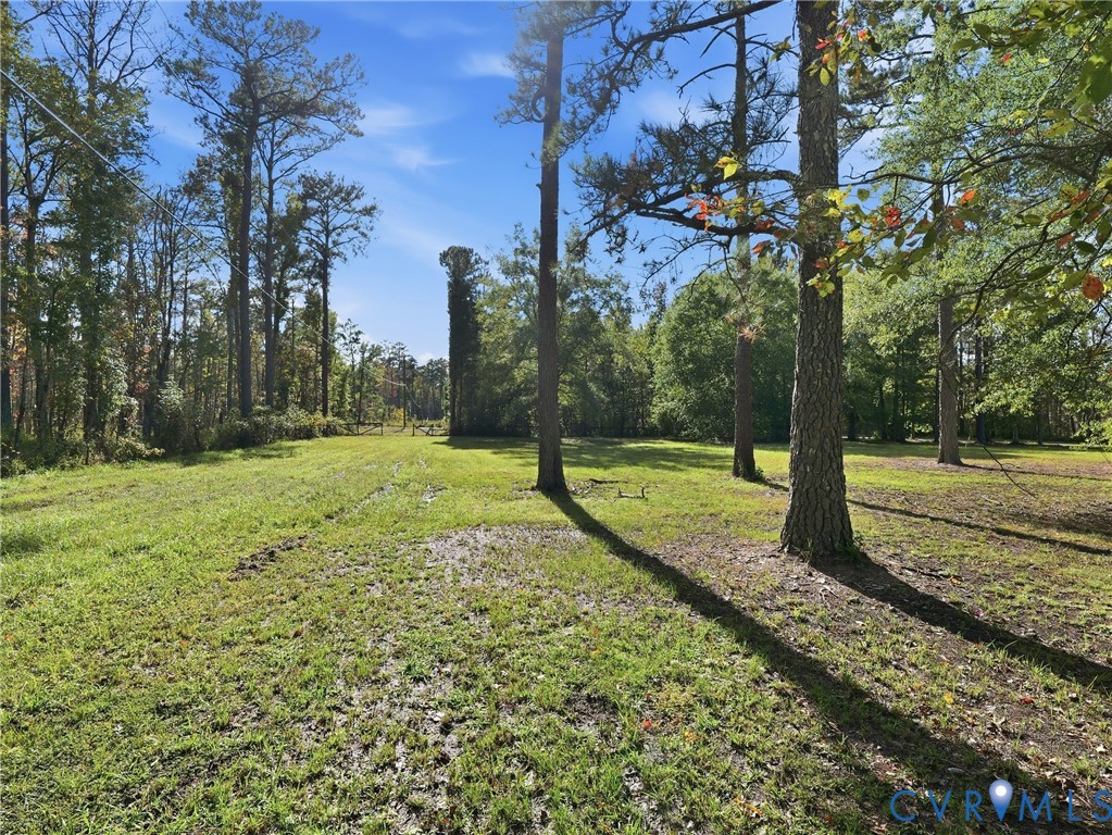 Expansive lot featuring mature hardwood and pine trees across a grassy expanse