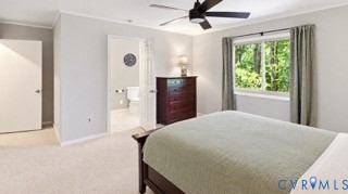 Wall-to-wall carpeting, ceiling fan, and window with outdoor scenery