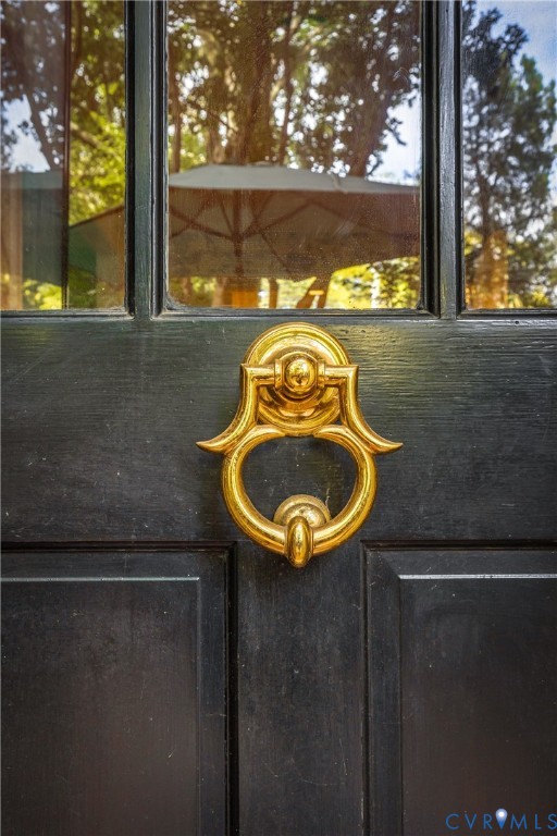 Elegant black double doors featuring ornate brass ring hardware and upper glass panels, framed by mature trees visible through the glazing