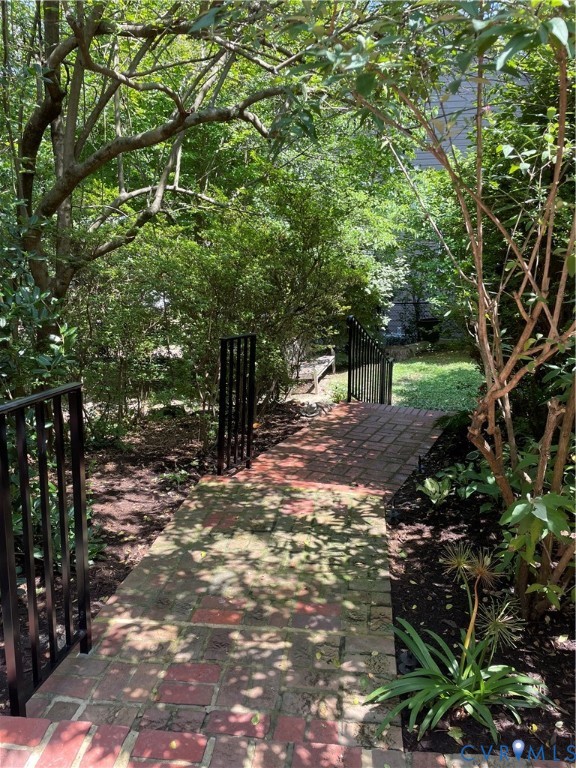 Side yard