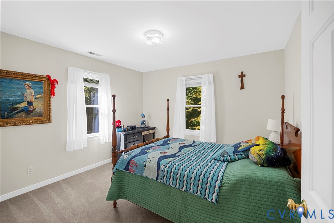 Neutral-toned room featuring neutral carpeting, two double-hung windows, and a central flush-mount ceiling fixture