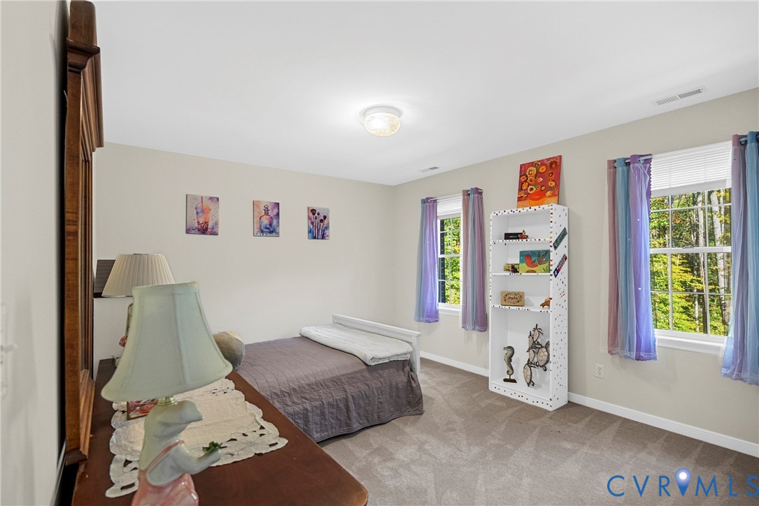 Neutral wall tones, carpeted flooring, and two double-hung windows with exterior landscape exposure