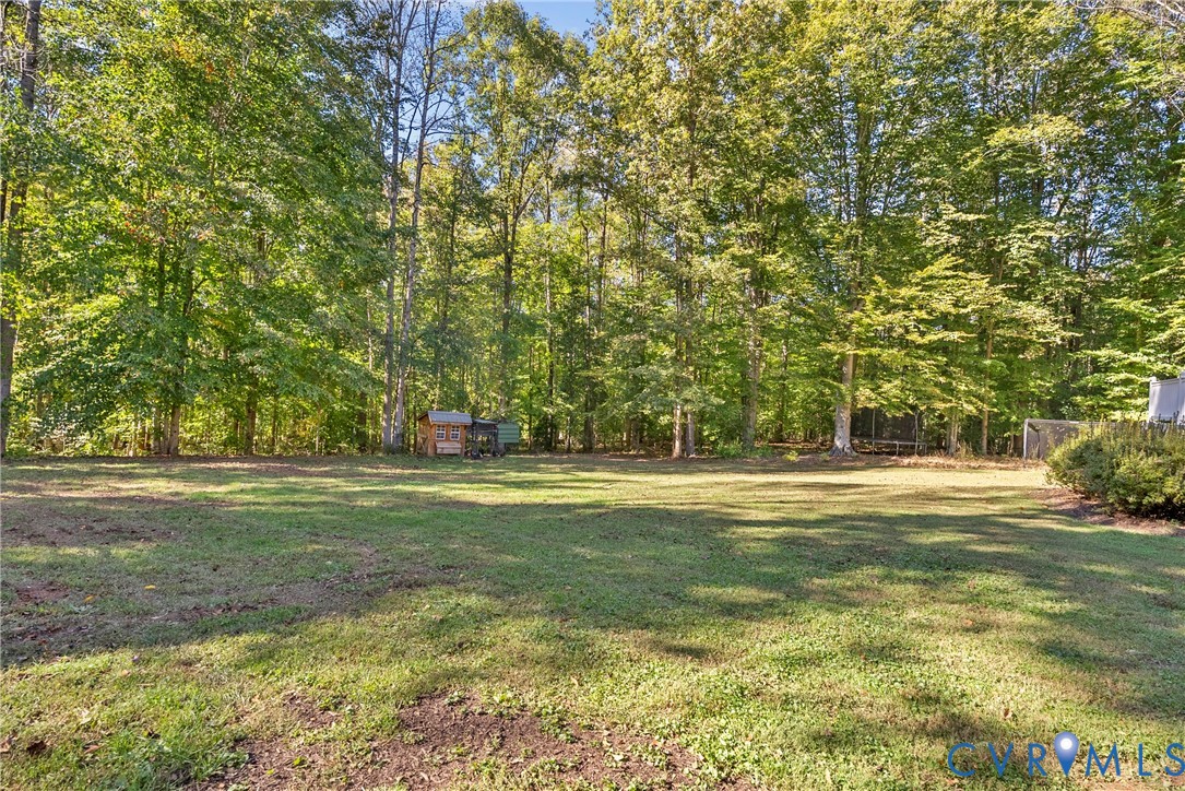 Expansive rear grounds featuring a grass lawn, mature trees, and natural woodland border