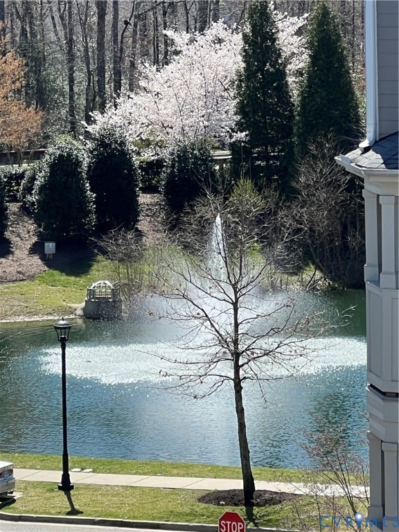 Water feature with fountain, surrounded by mature trees and verdant landscaping