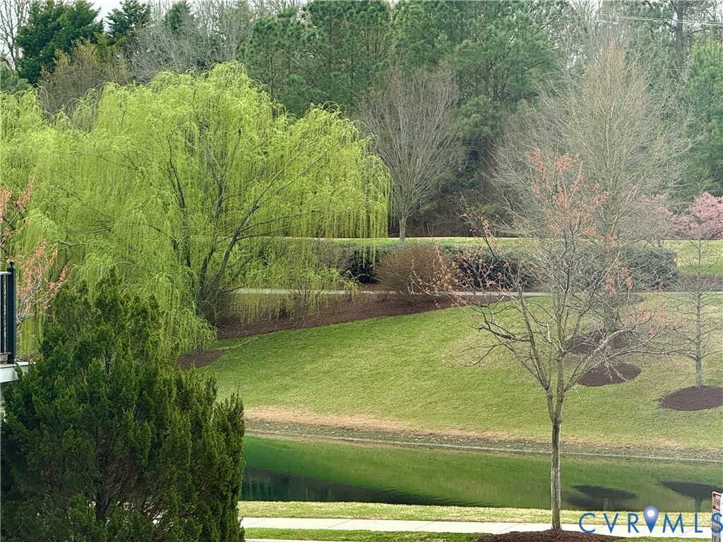 Manicured landscaping with a mature weeping willow, green lawn, a tranquil pond, and established trees
