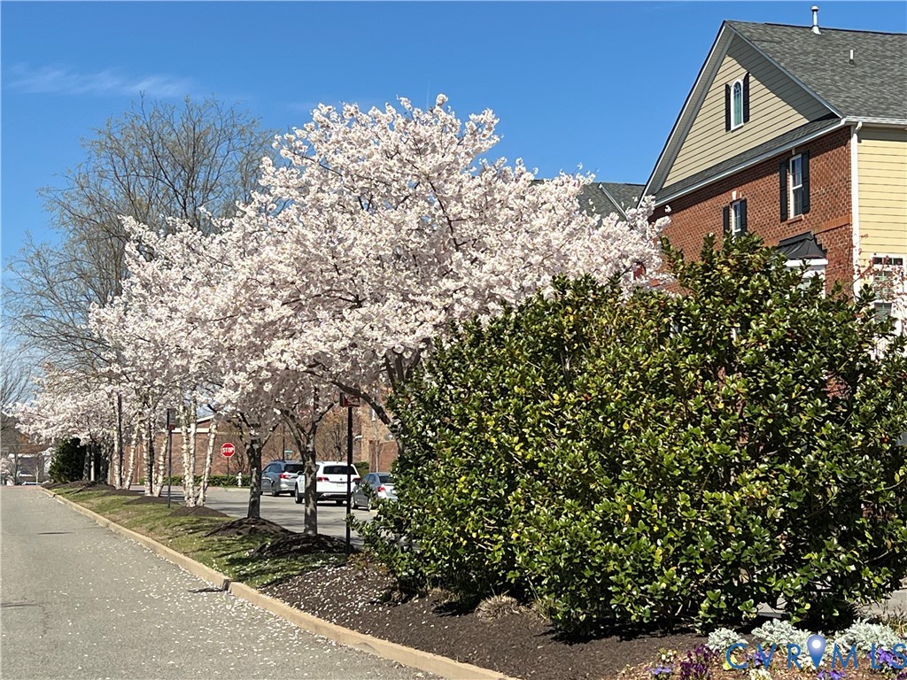 3931 Liesfeld Place, West Broad Village, Henrico, VA 23060