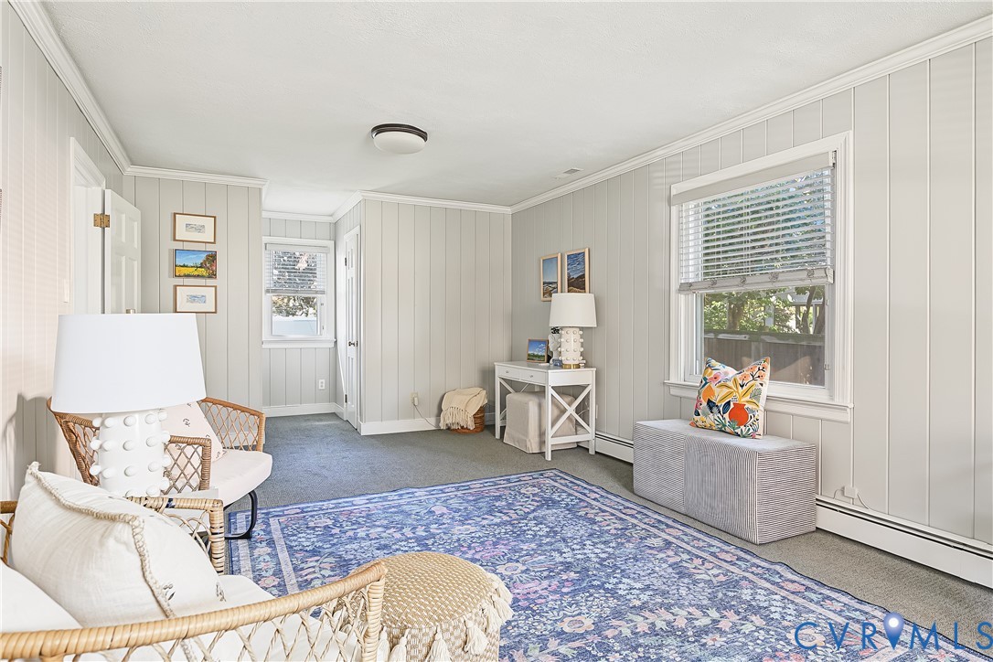 Carpet, wood-paneling
