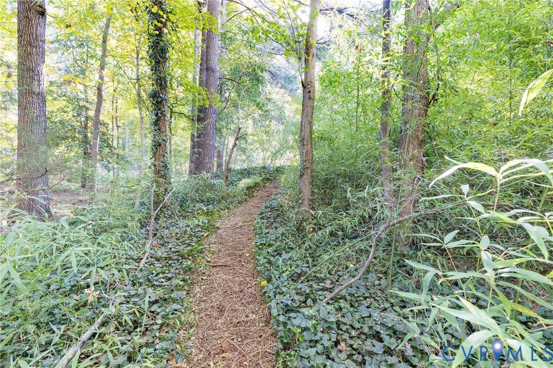 Path To The Open Field