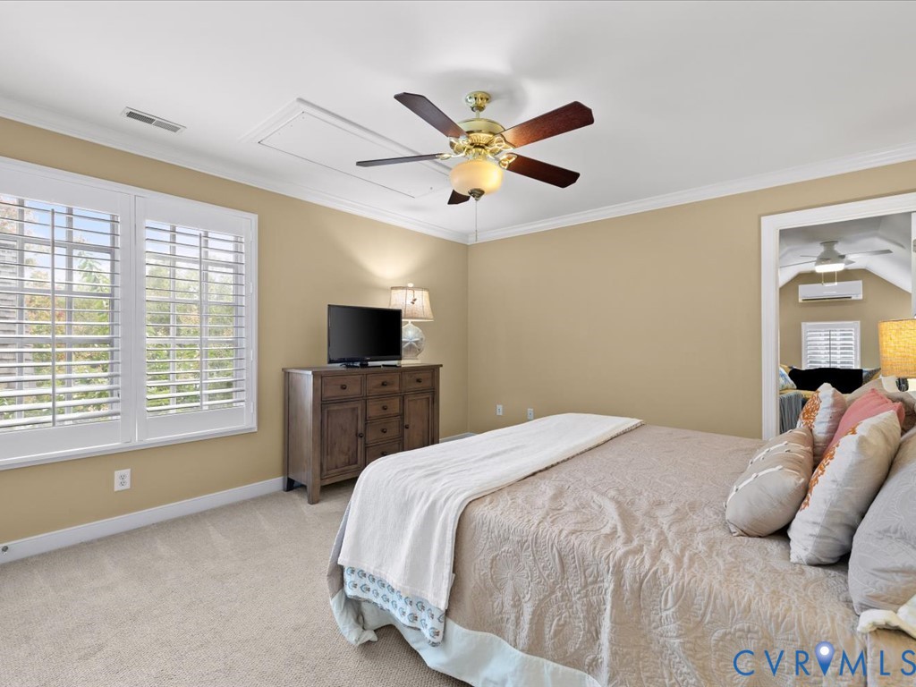 Plush carpet flooring, crown molding, white window shutters, and a ceiling fan with integrated lighting