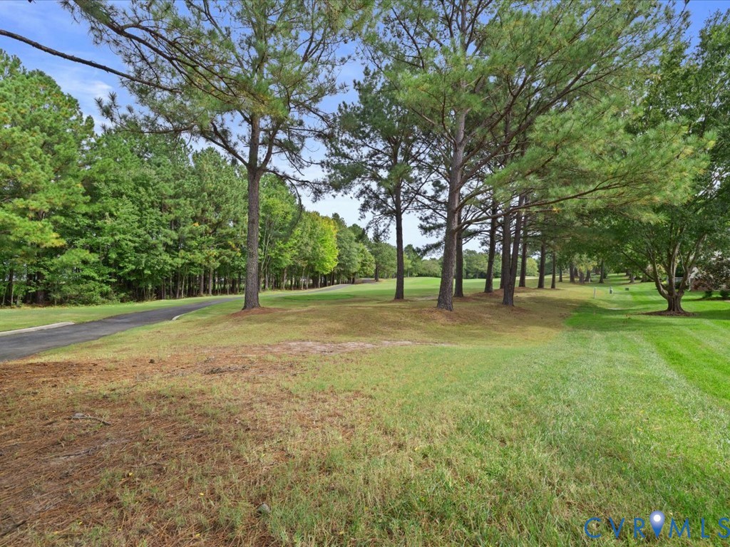 Manicured lawn with mature trees and paved pathway
