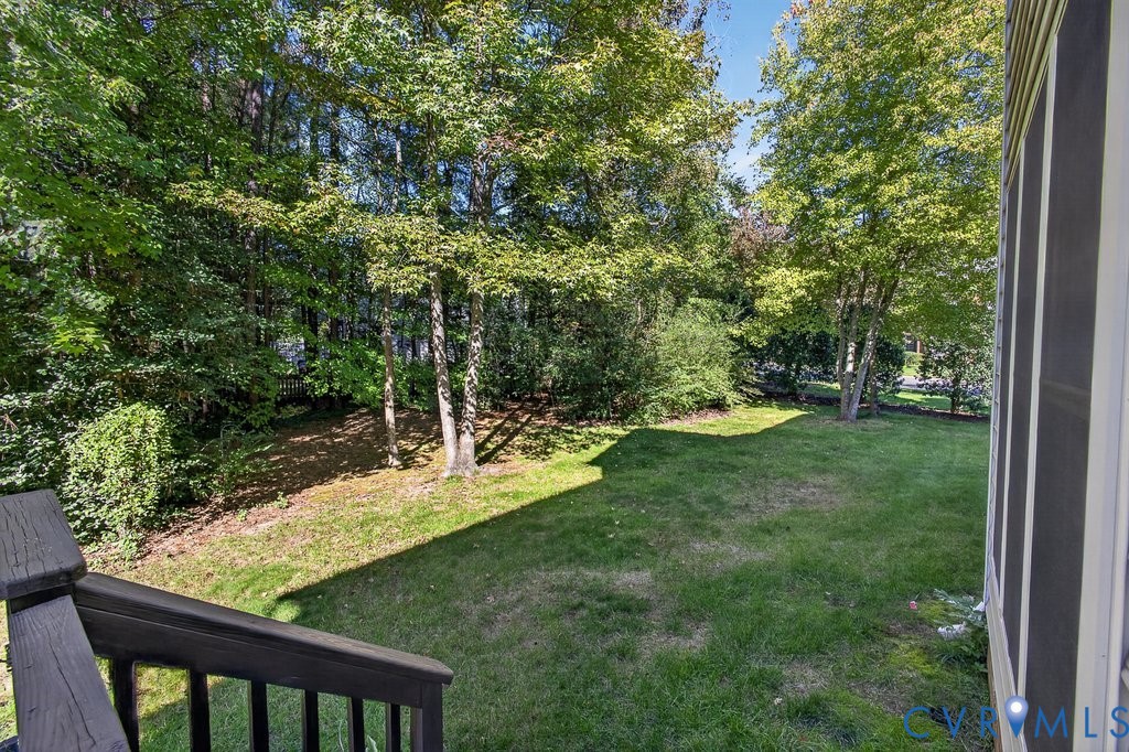 Back yard
