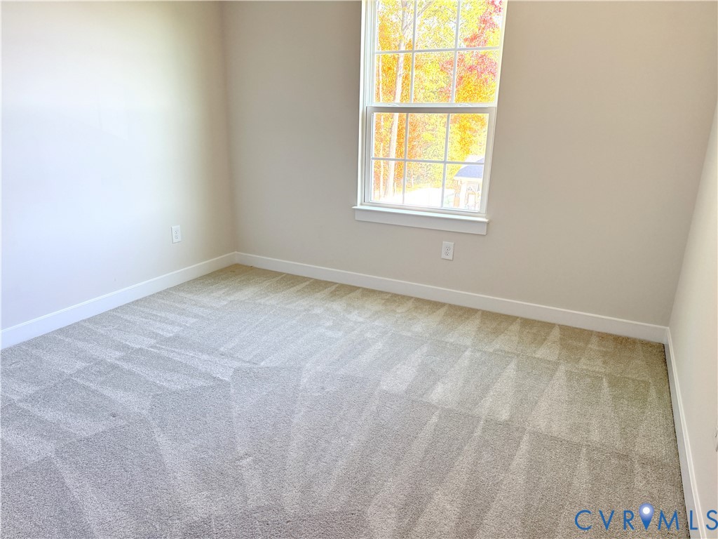 Neutral wall paint, plush carpeting, and a double-hung window featuring a grid pattern