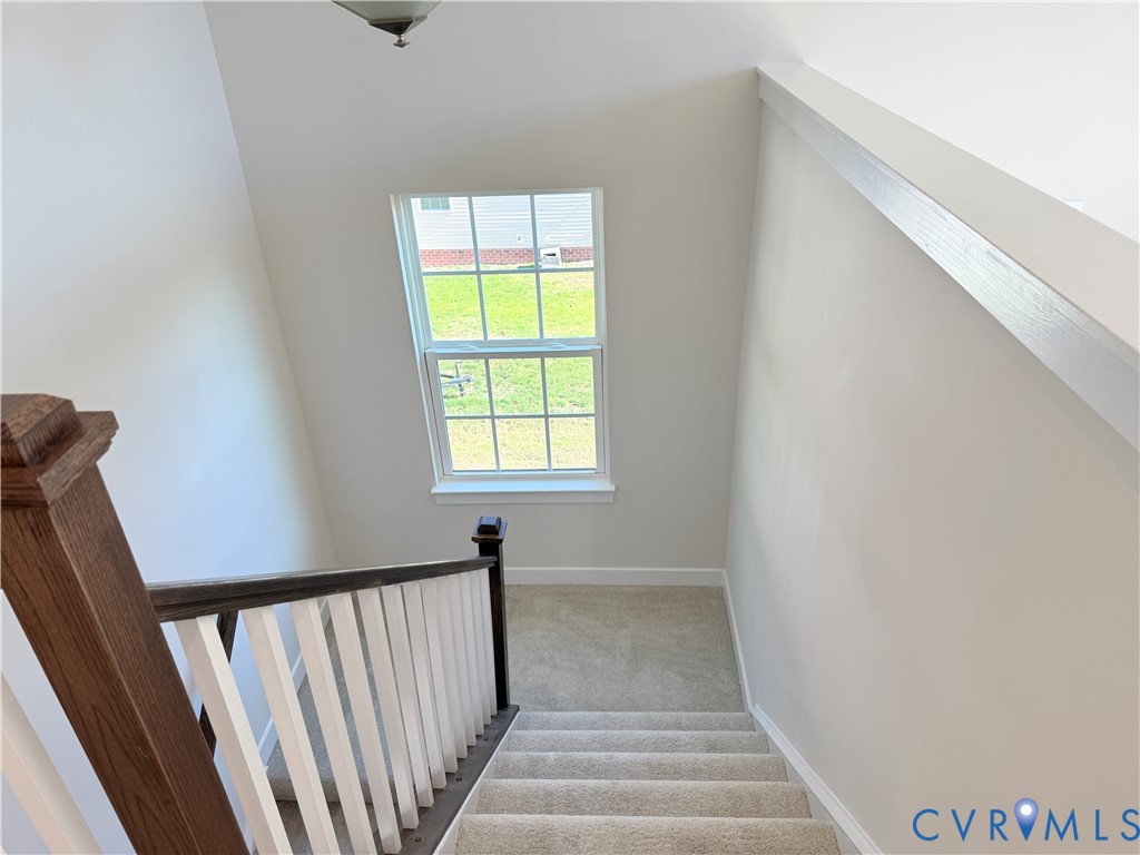 Staircase featuring carpeted steps, a stained wood handrail, white balusters, and a double-hung window