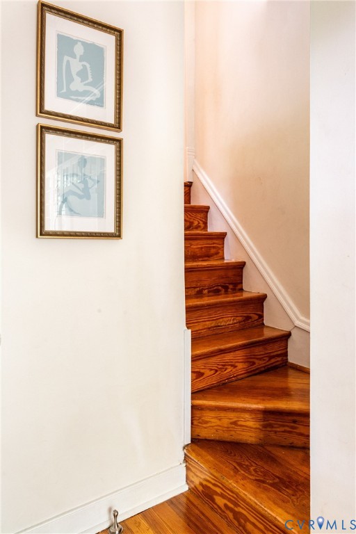 1807 Floyd Avenue, The Historic Fan District, Richmond, VA 23220